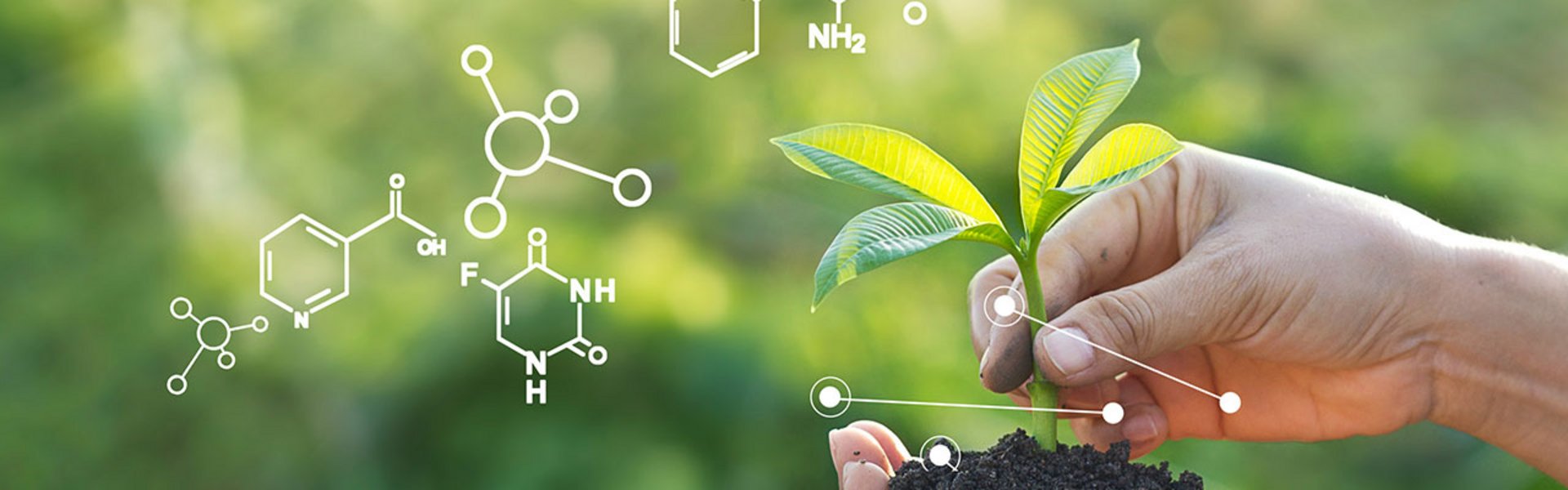 Green Lab